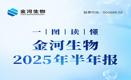 һͼ������ng28.com����2025�����Ȼ㱨